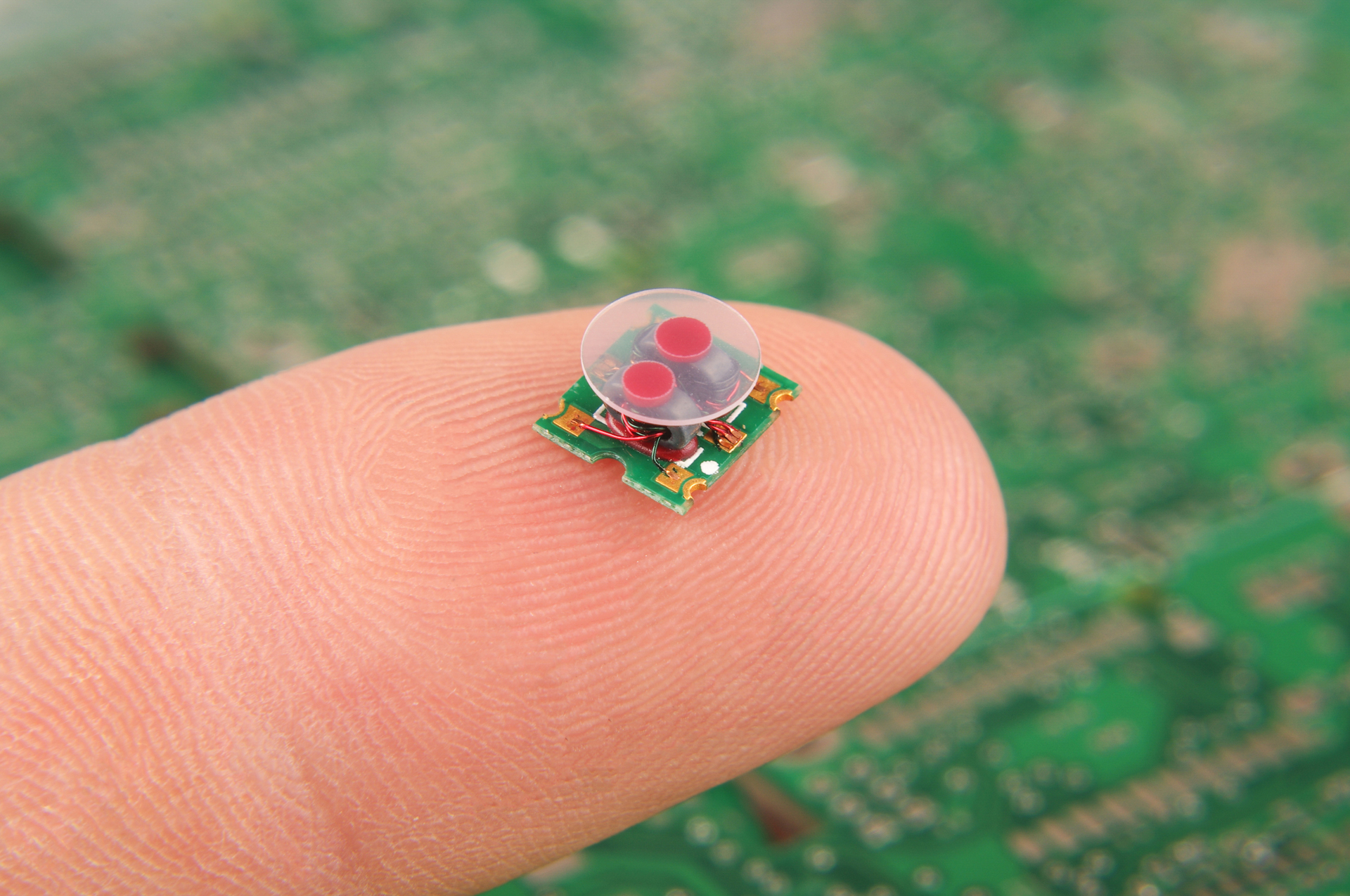 Detecton Sensor Detection (sensor) - Materia Nova - innovation center